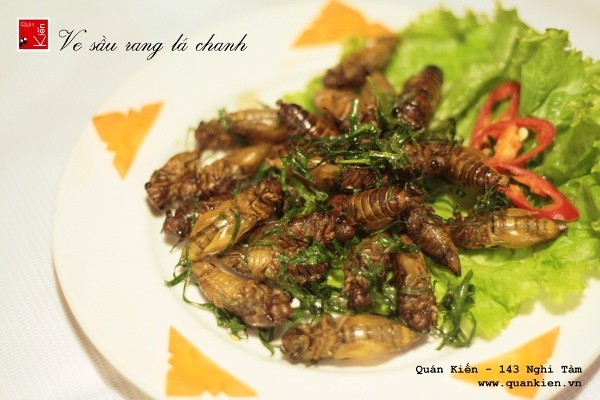 Eating insects in Hanoi - ảnh 3